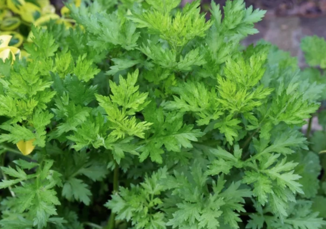 anh chup man hinh 2025 12 13 luc 140423