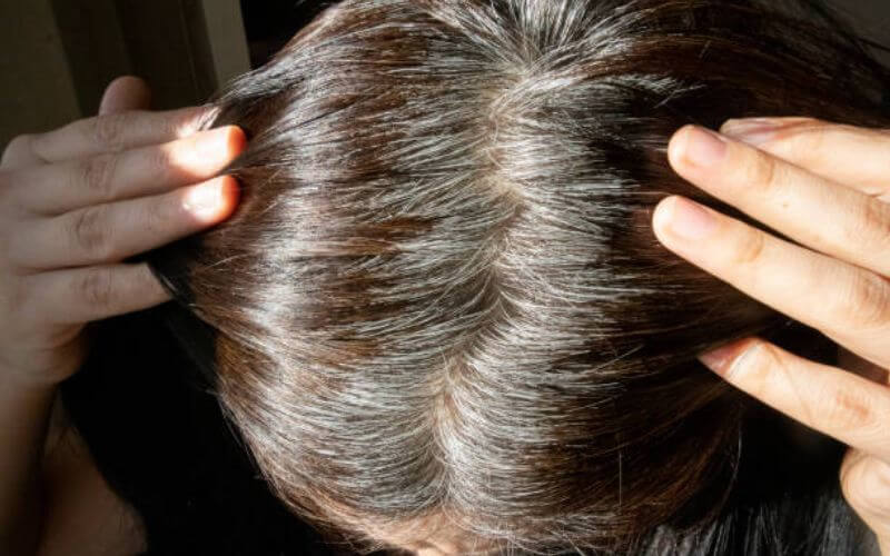 toc bac som o tre em