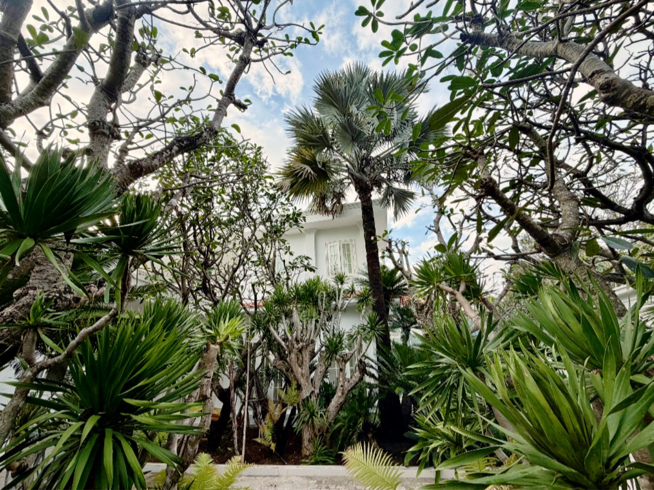 58203938031498054885614376151873666958028629n