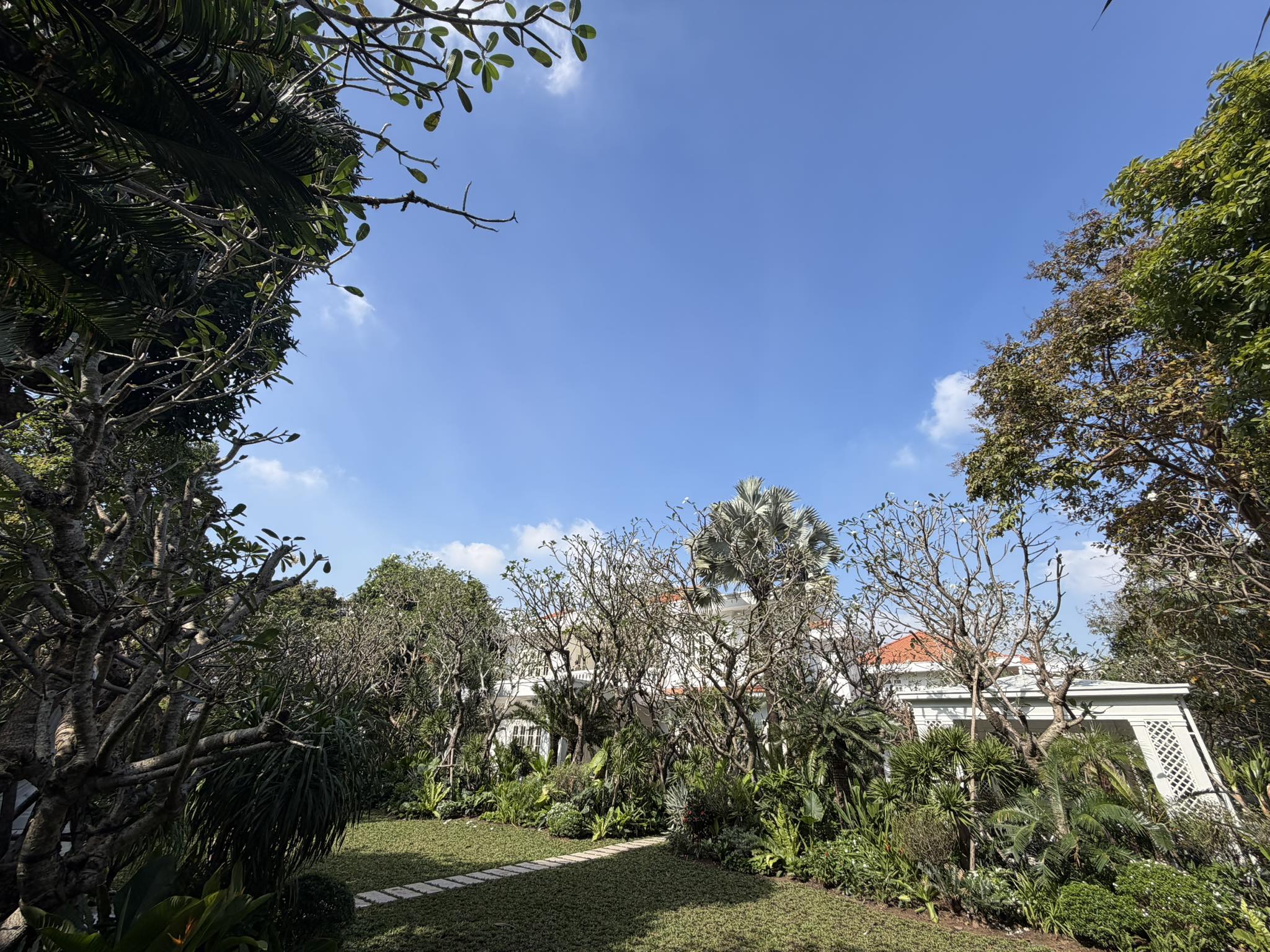 60387787231848272883925902132012694817005063n