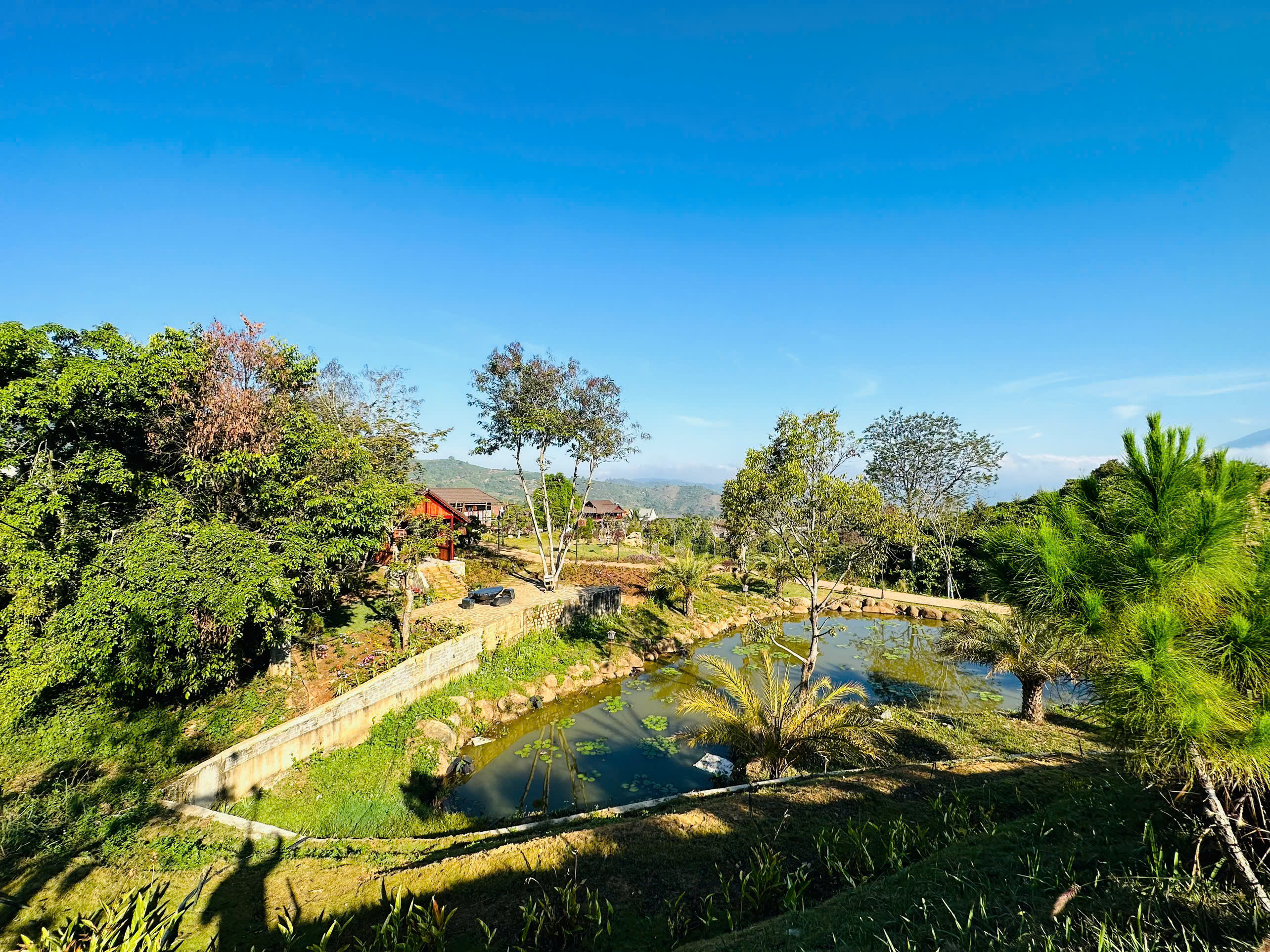 z7477868900610d9e66ac29baa22312c4402448b5c43c7