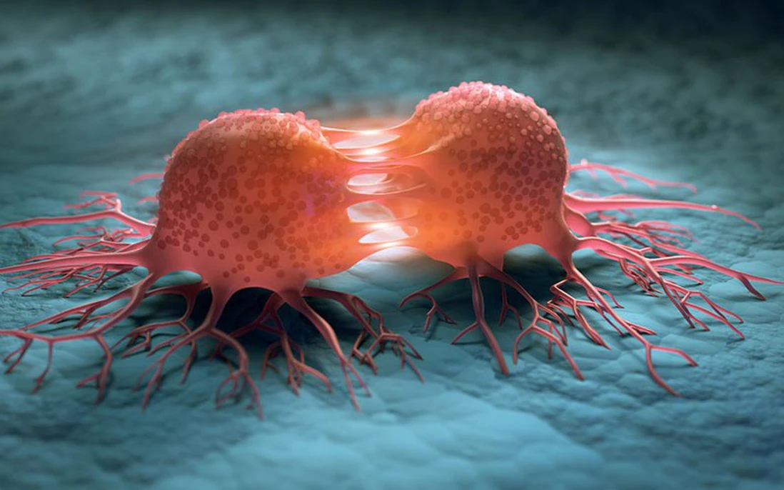 istock 11805684342028129 172664333477094434710 0 93 500 893 crop 17266433416392109907026