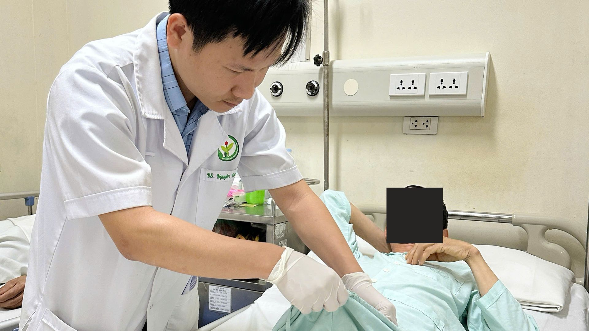 hat nano nhua co the truyen tu me sang thai nhi o chuot