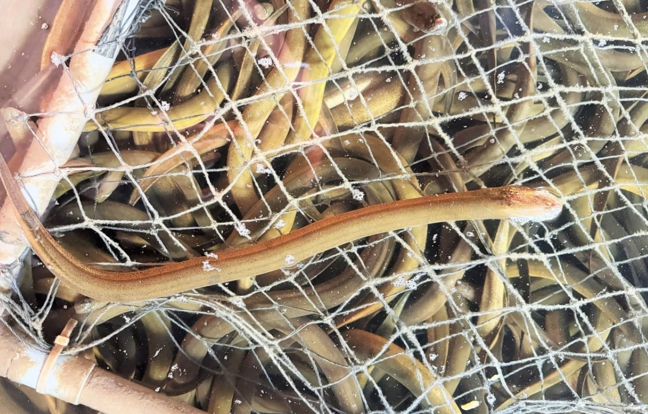 anh chup man hinh 2026 03 12 luc 143616