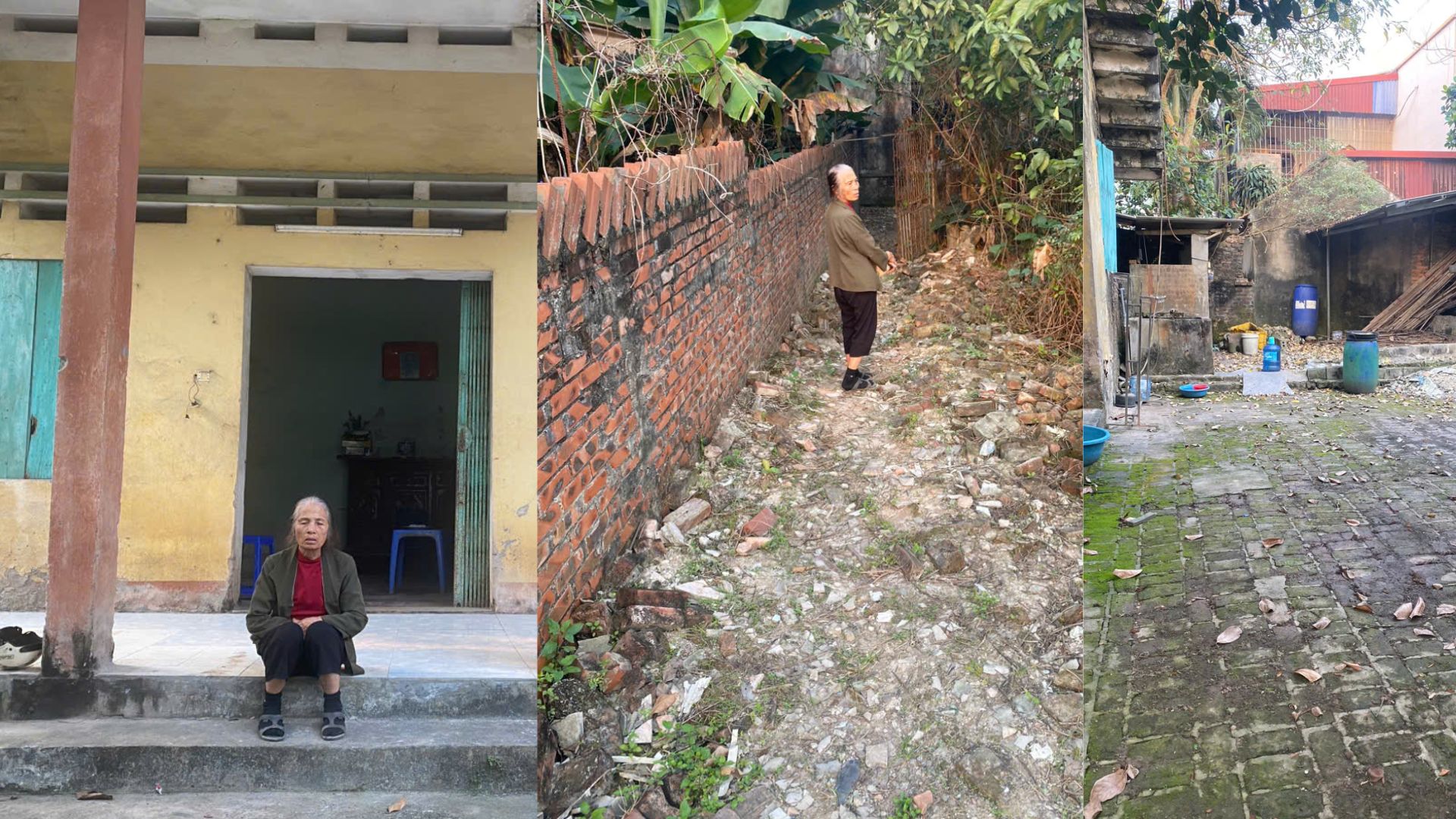 hat nano nhua co the truyen tu me sang thai nhi o chuot