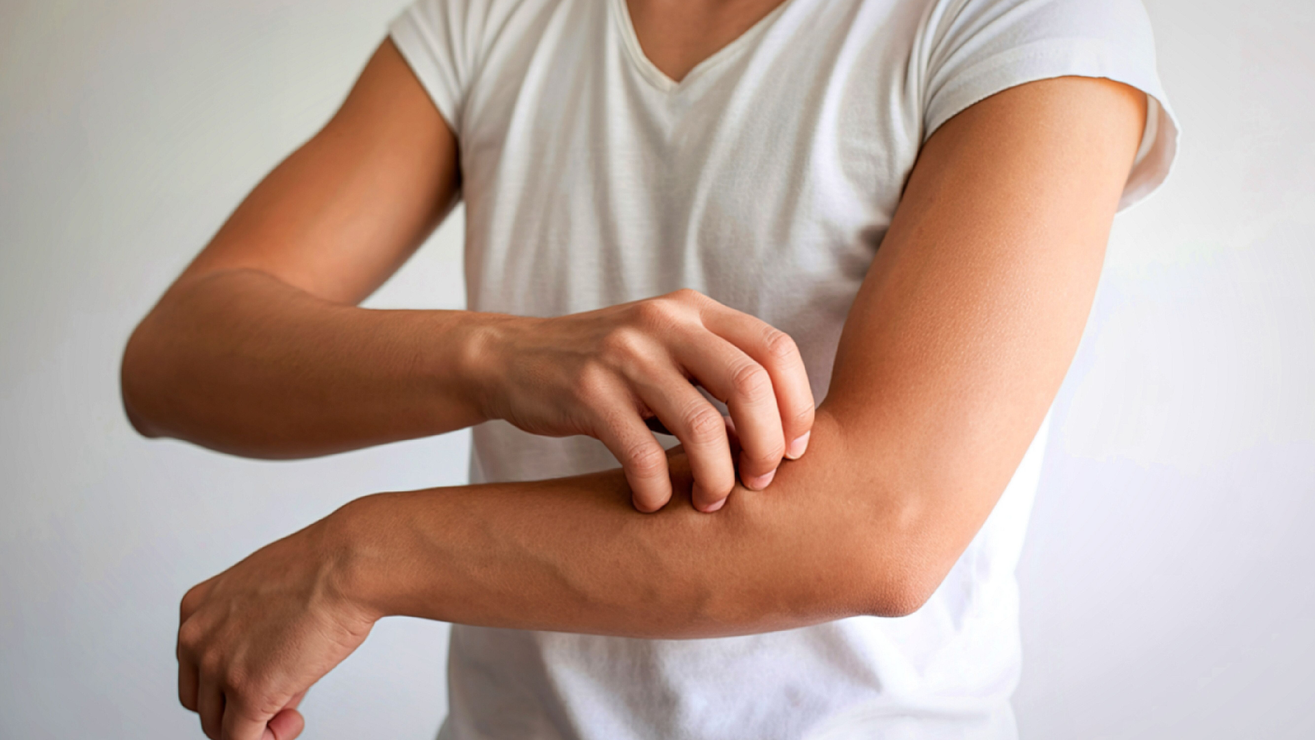 83aaa6ff 6d3b 4214 936a 812467be15c7mceu94265433711775547607208