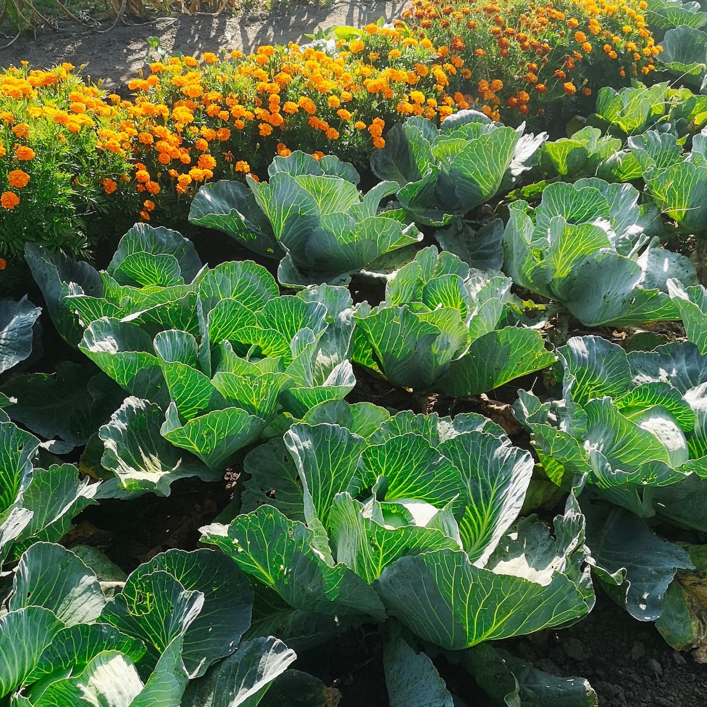 981ef99f b839 4f1a 9fbc 2182b14240a5