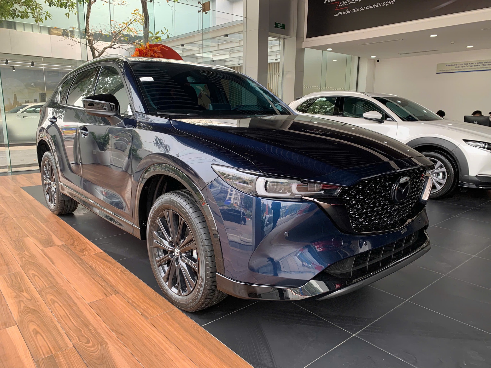 47284596591141674286065488479773659357469834n