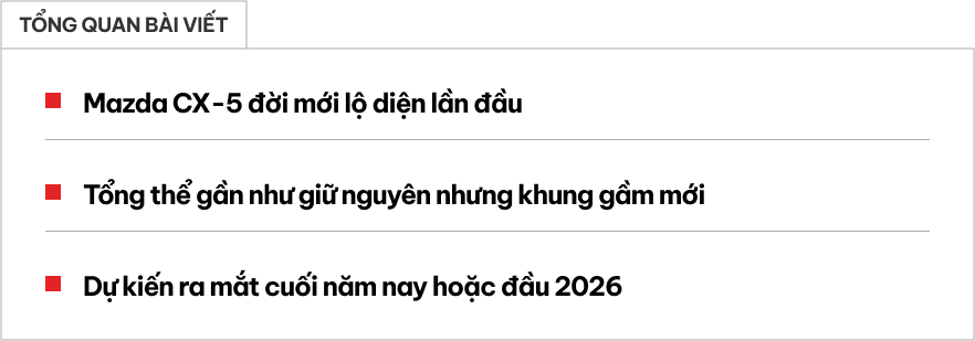 web 2025 01 15t120646558