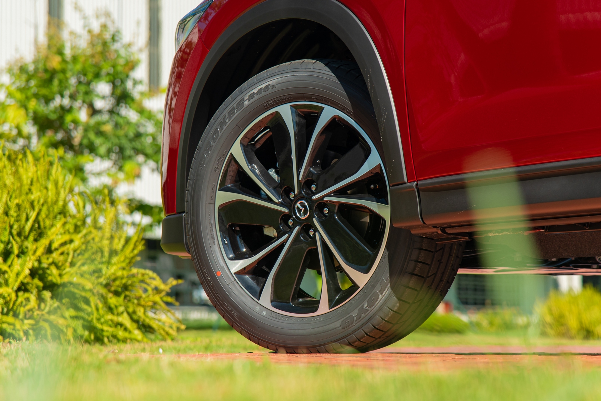 ezgifcom webp to jpg converter 3