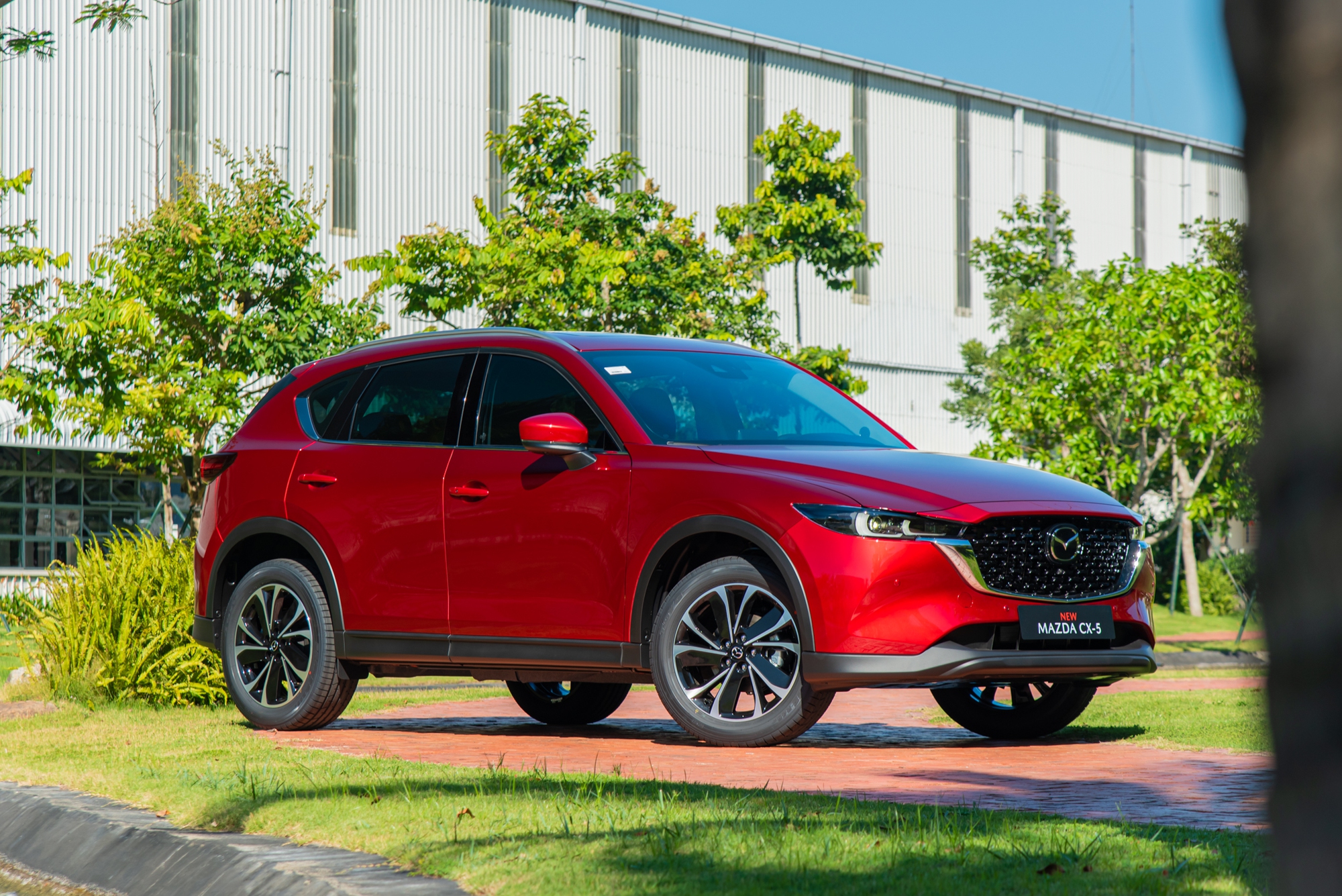 nlh1246 1688782210865330891590 16967013462251208910419 1696739392803 1696739392942868805143