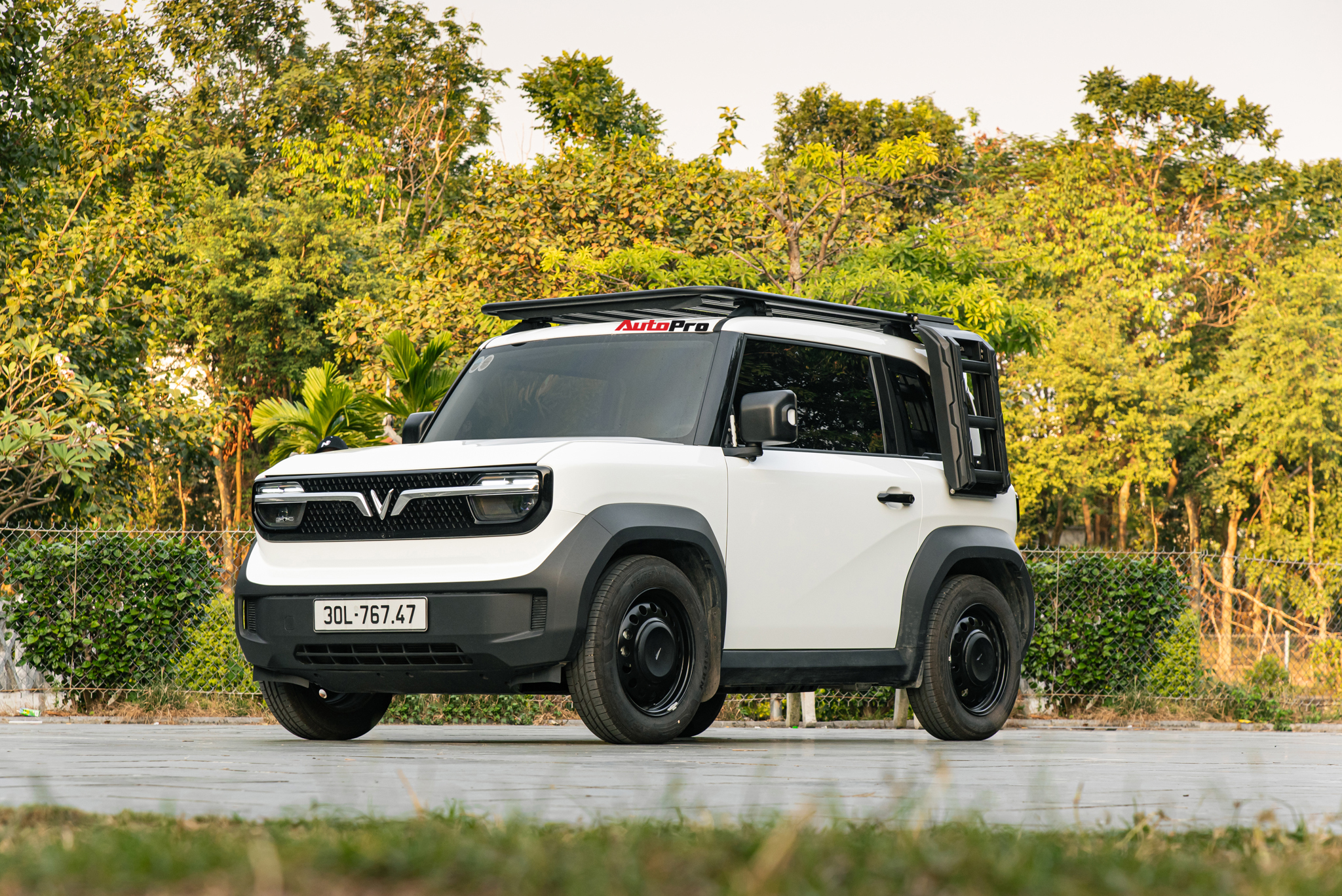 nlh3539 17336705331091033259730