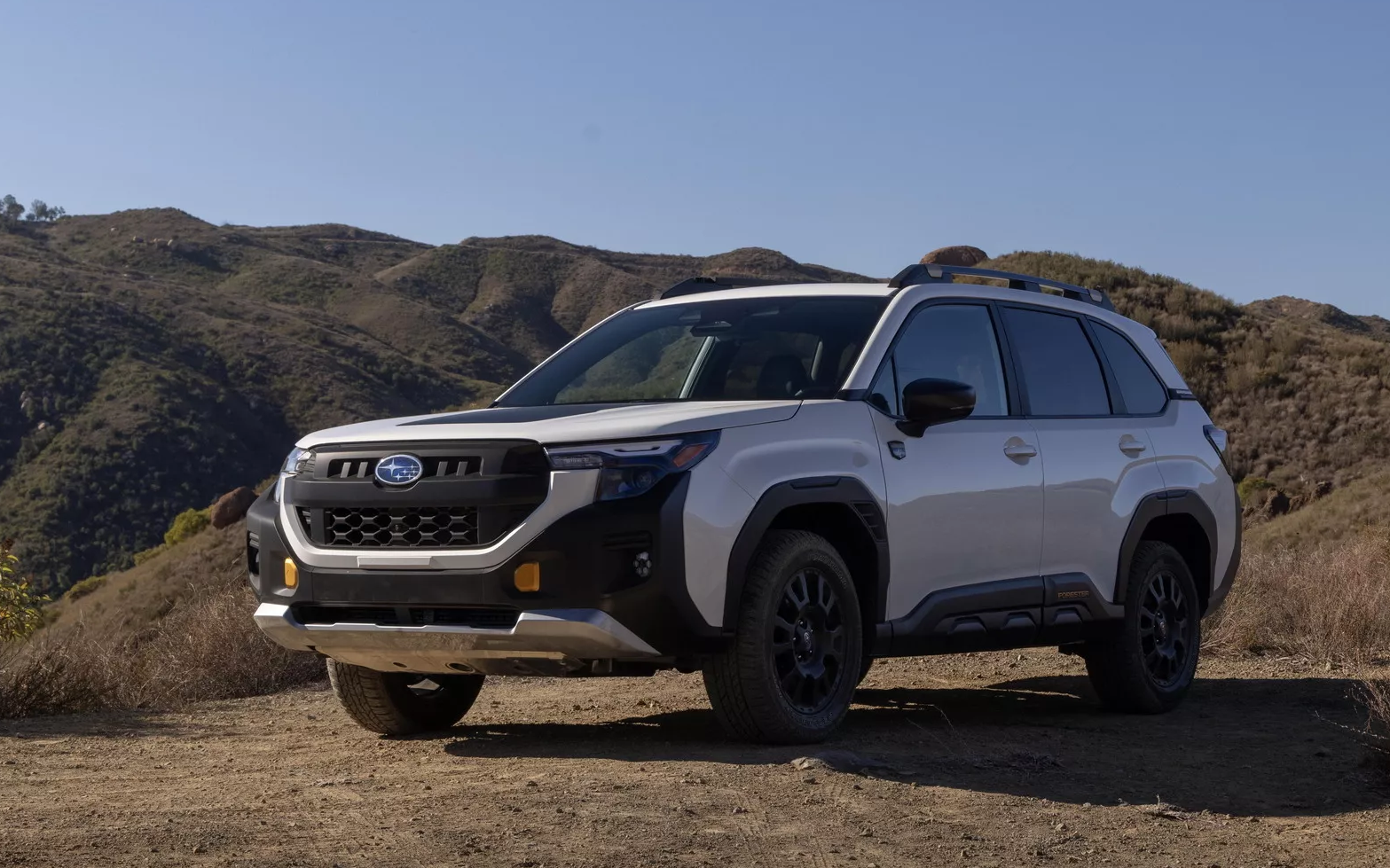 2026subaruforesterwildnerness19