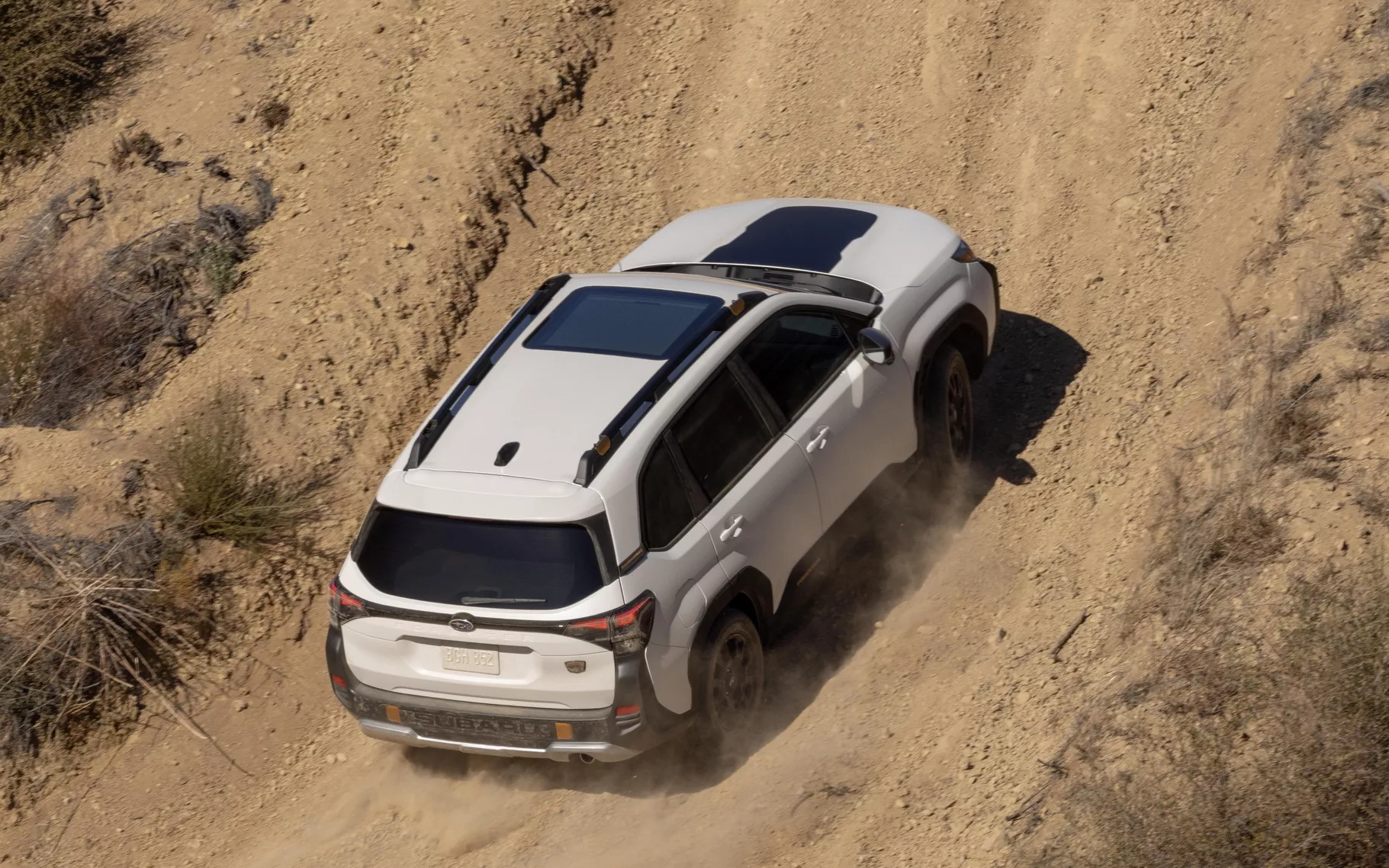 2026subaruforesterwildnerness23