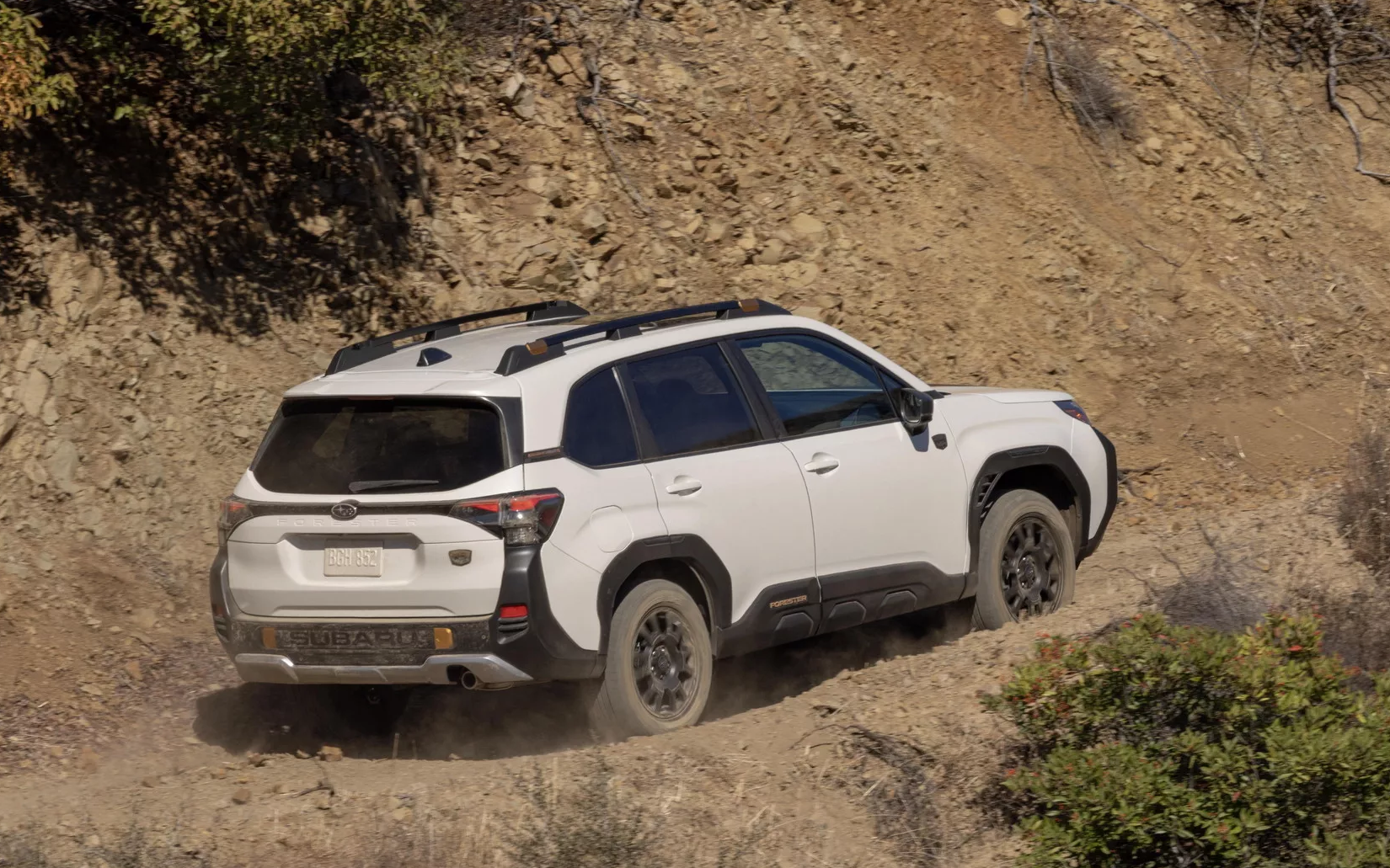 2026subaruforesterwildnerness26