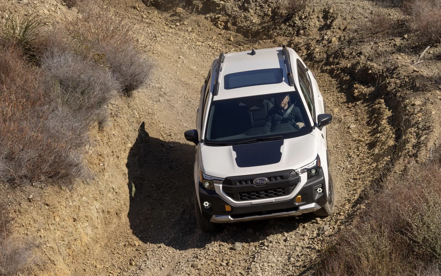 2026subaruforesterwildnerness27