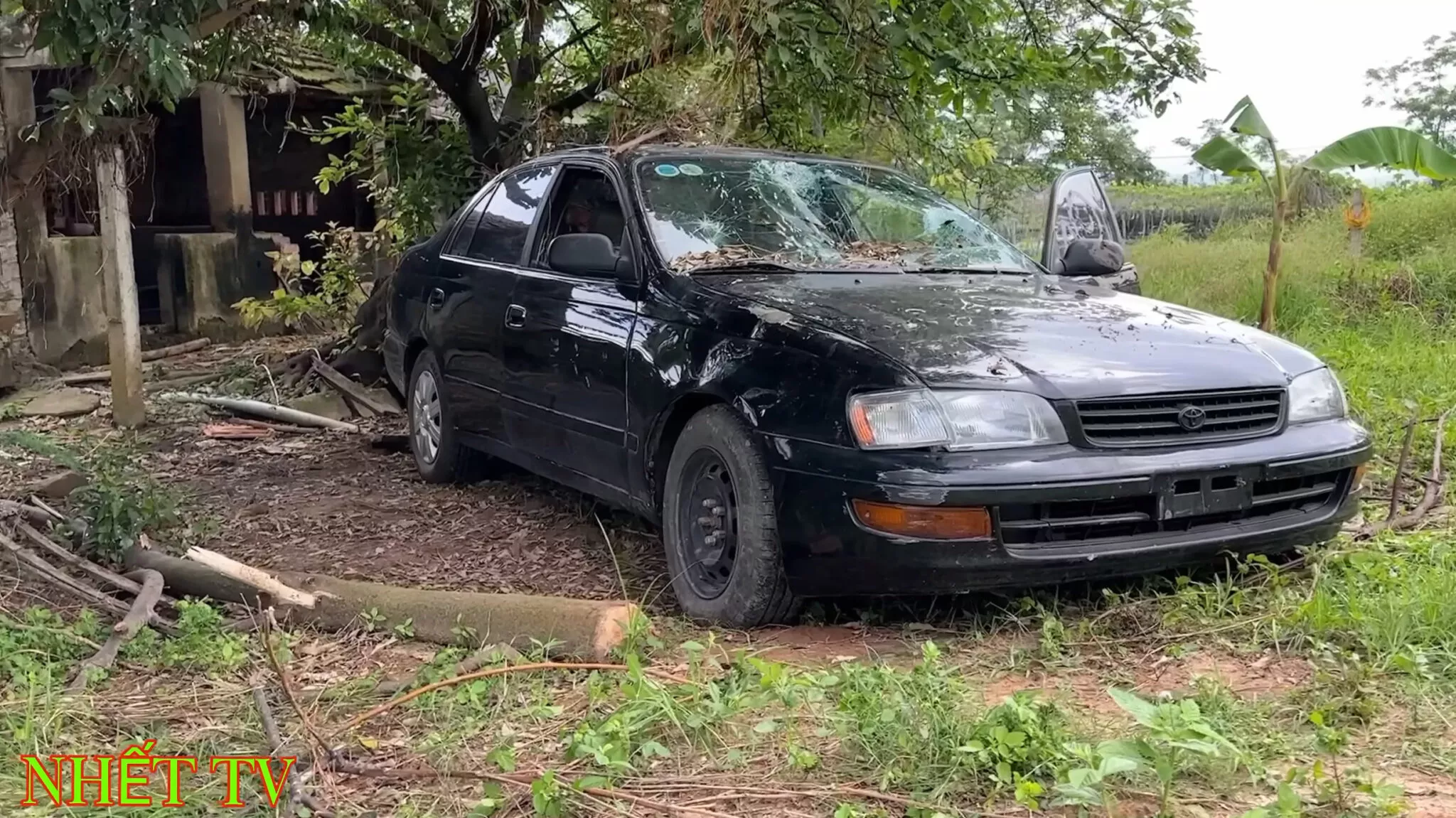 nhet tv koenigsegg jesko replica 8 2048x1151