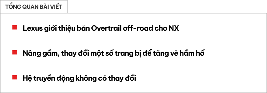 web 2025 02 17t104023865