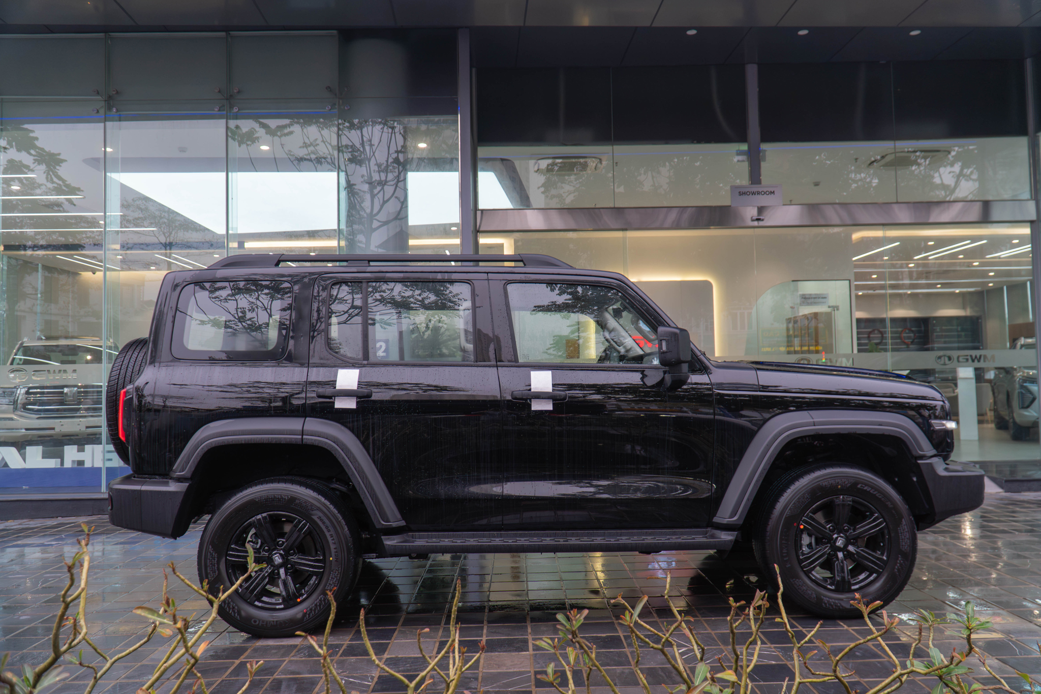 dsc07189 enhanced nr