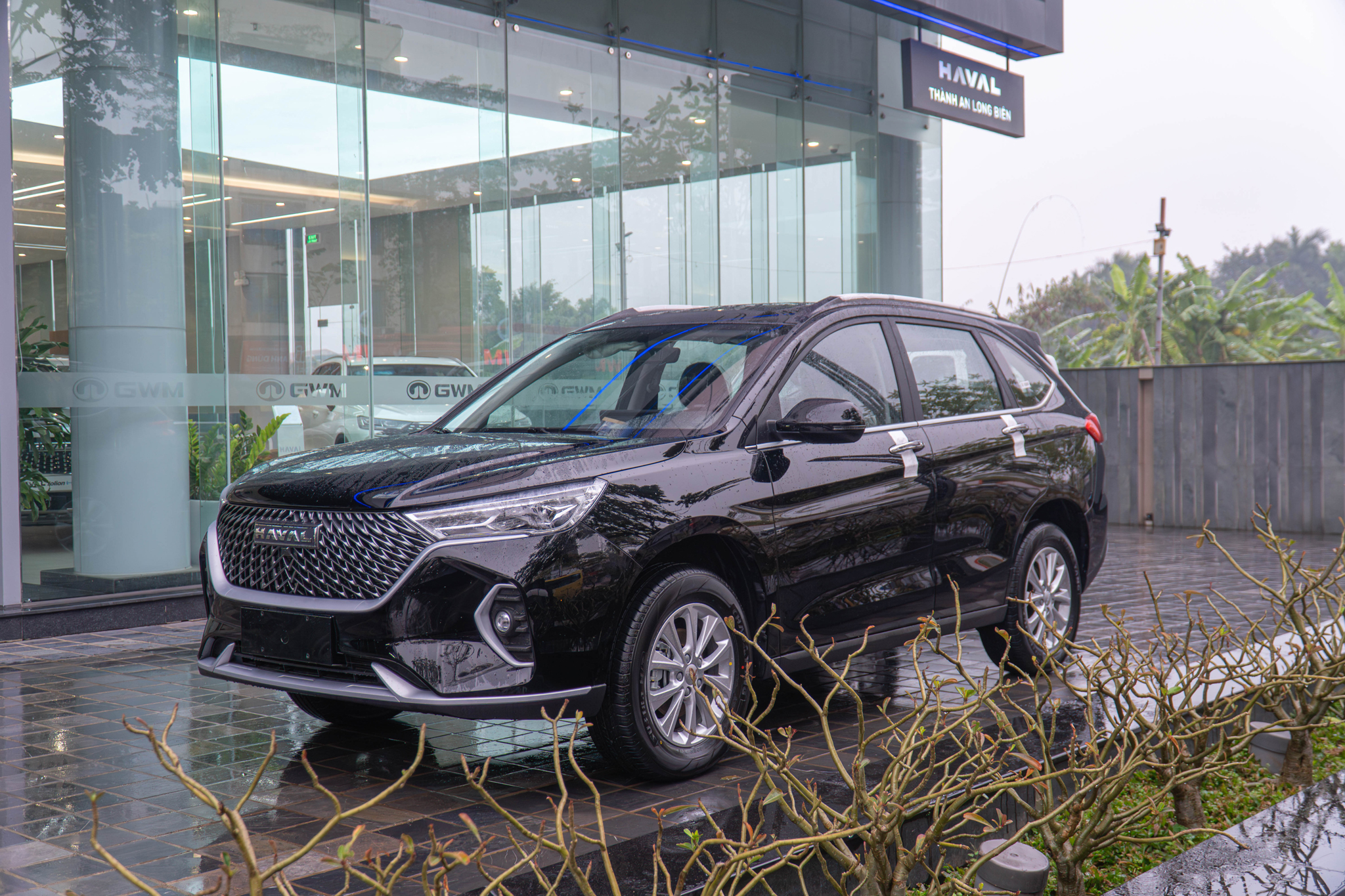 dsc07193 enhanced nr