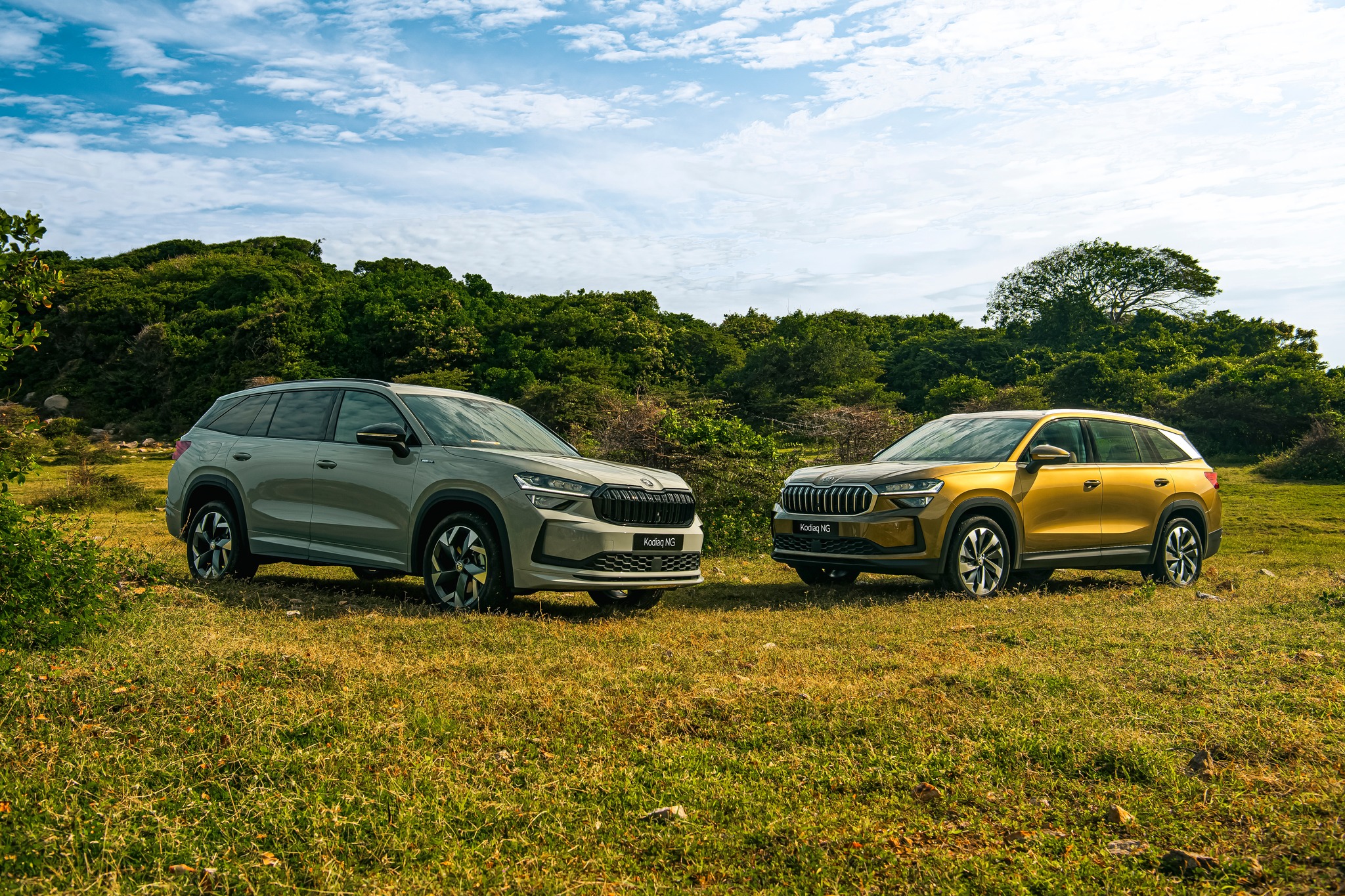 48197866910309166624046529079073368004234235n