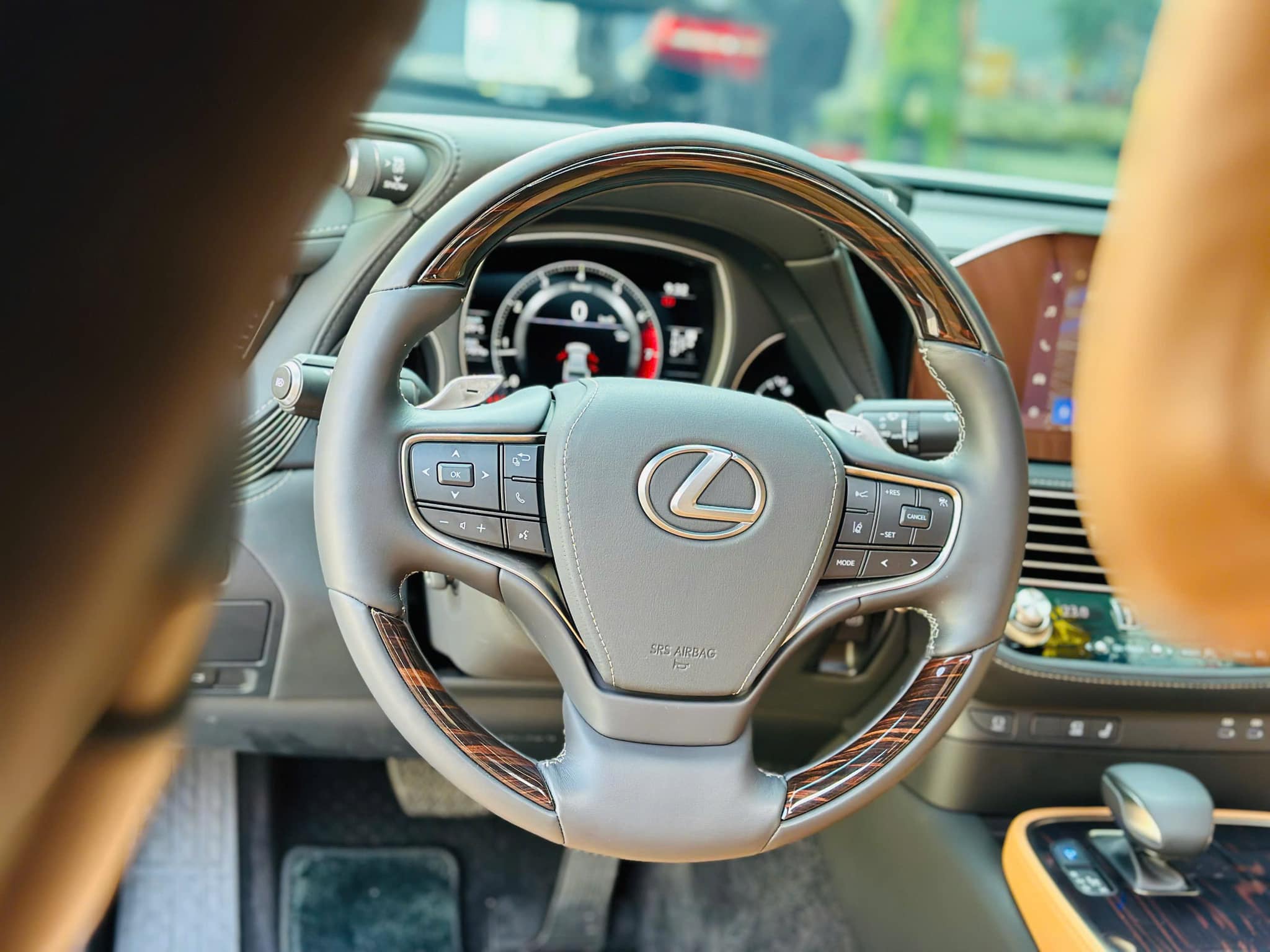 4810565026427422816922728556117357508891538n