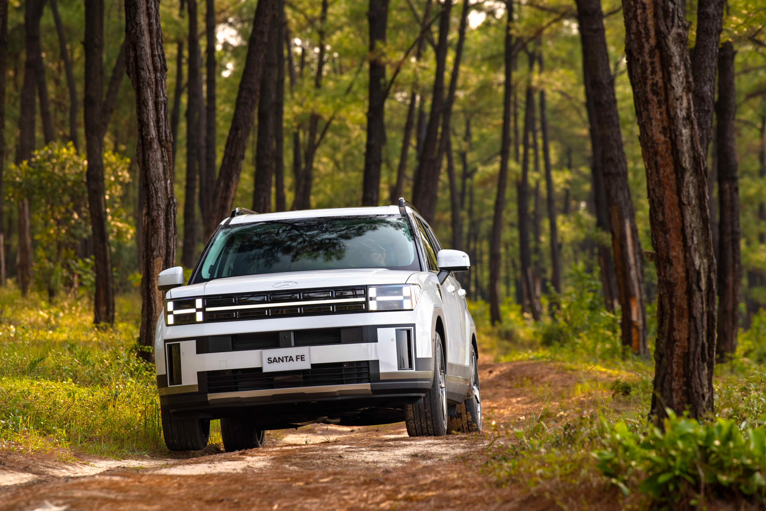 hyundai santa fe 2025 15