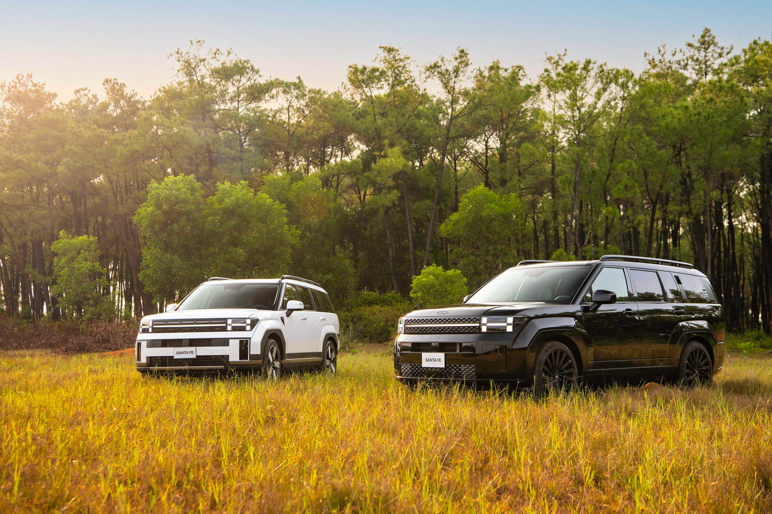 hyundai santa fe 2025 8