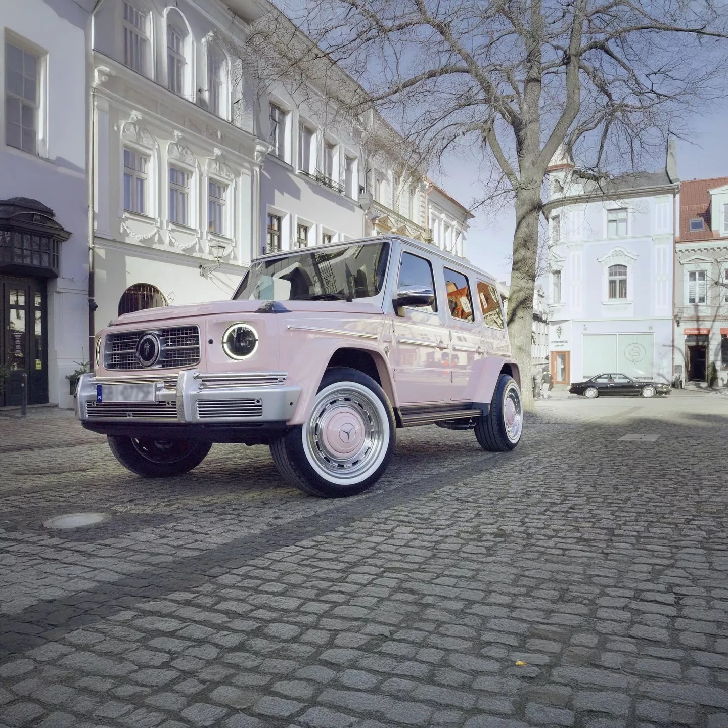 carlex vintage rose mercedes g c carlex vintage rose mercedes g c