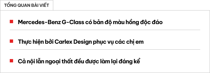 web 31 web 31