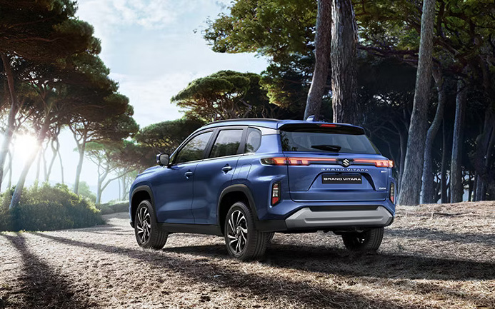 arvkmarutigrand vitararear 3 4th forest shotnexa bluev1mob