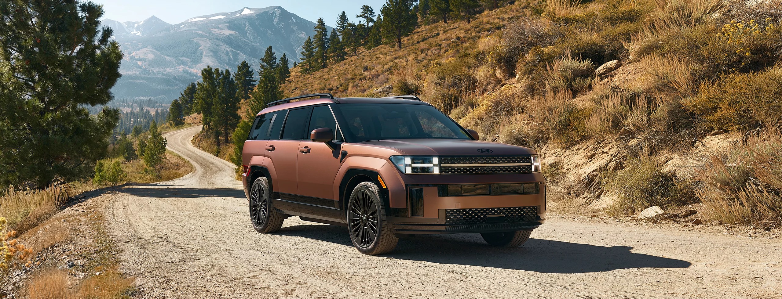 2024 santa fe hev vlp 1920 2560