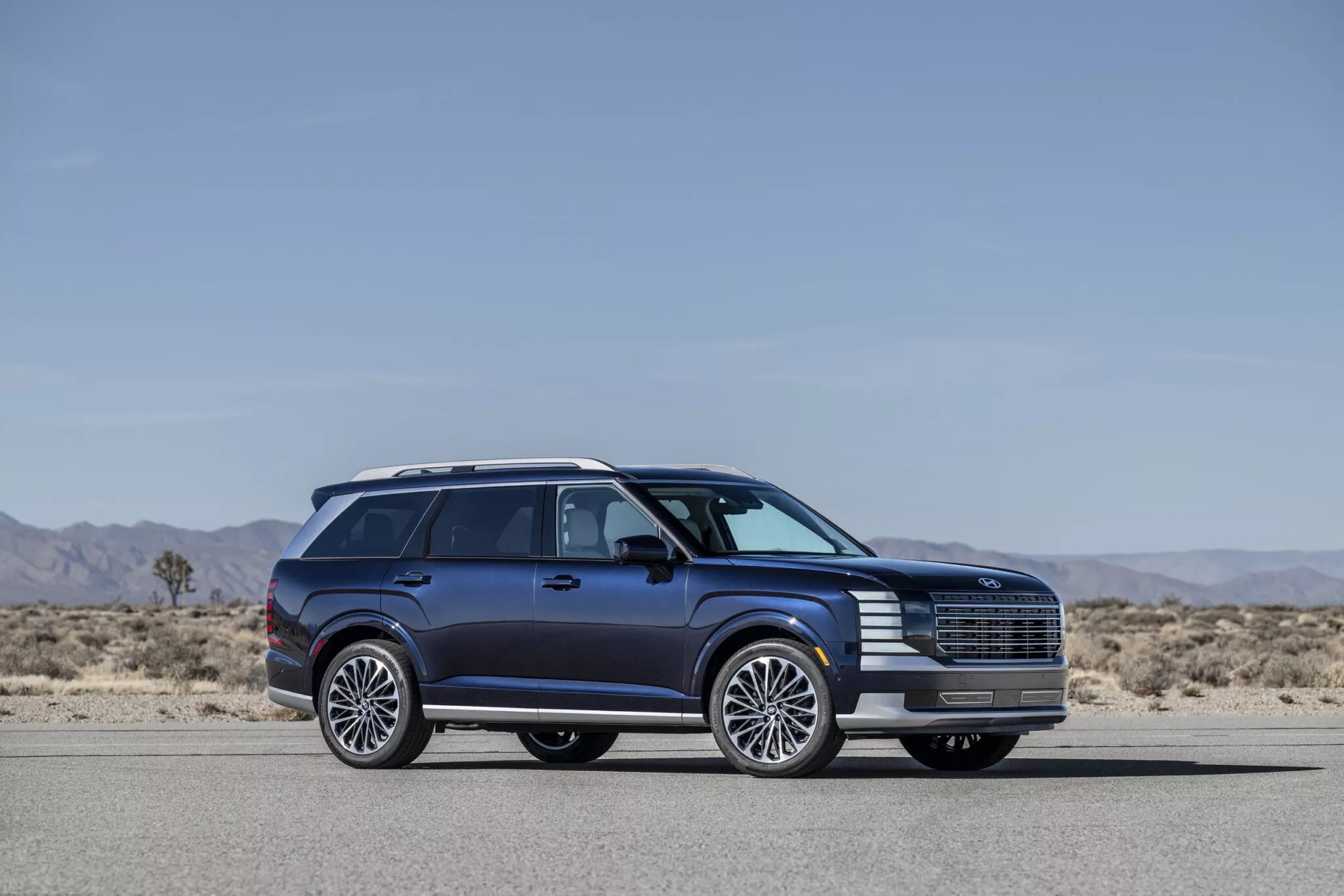 65625 2026palisadeicecalligraphy