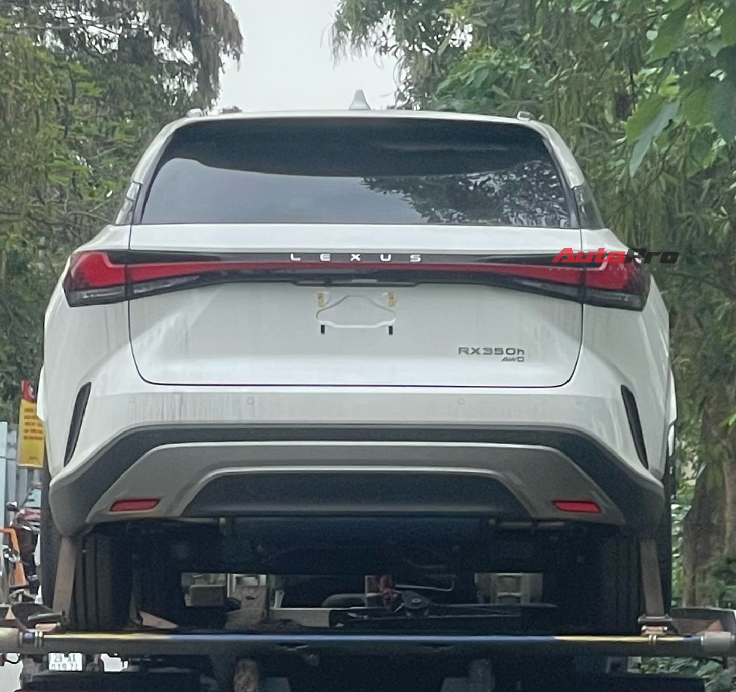 d3418d5f 0651 4ab2 9b8e 9750b0f1bb9a