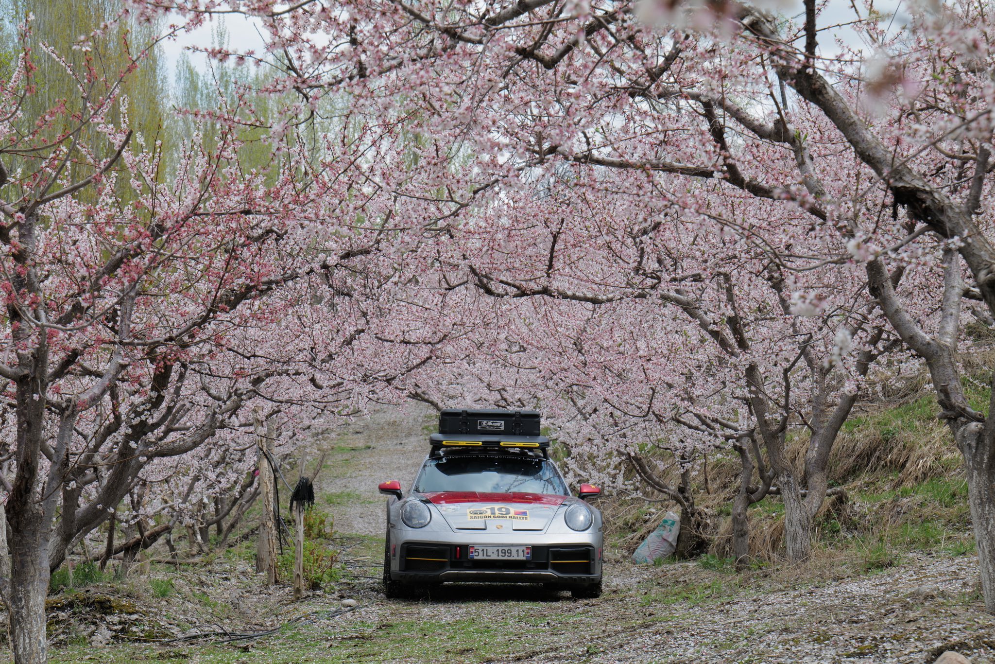 49200503229727165260207908837877787695447114n