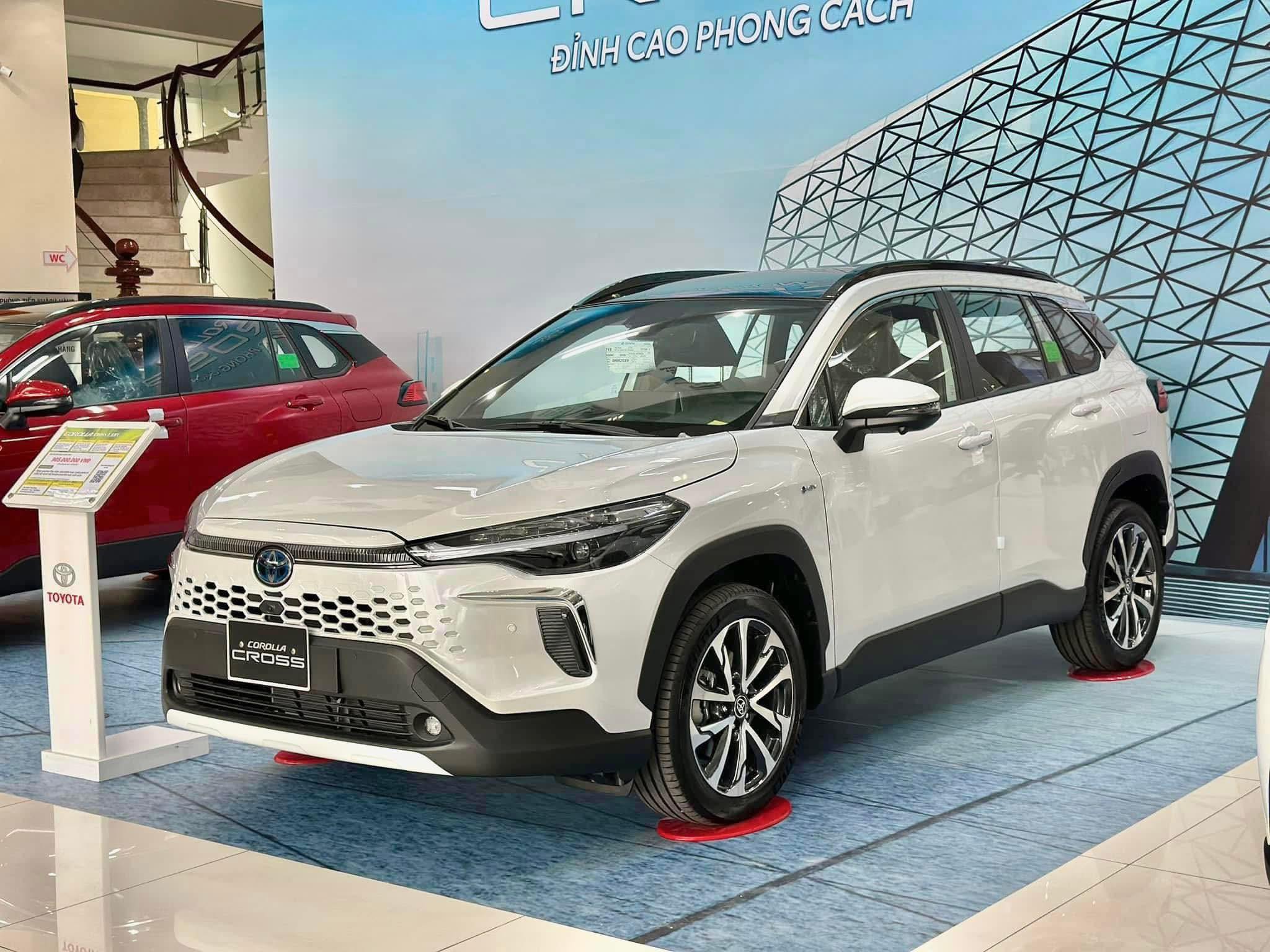 48579781912471897407464104306003788856316223n