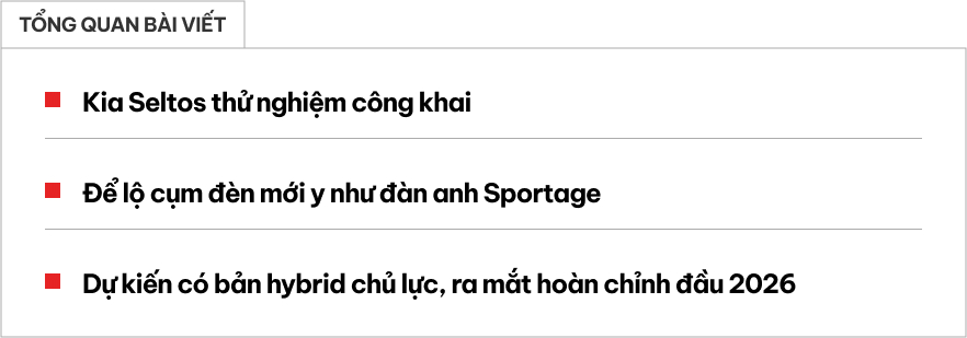 web 2025 05 21t130356659