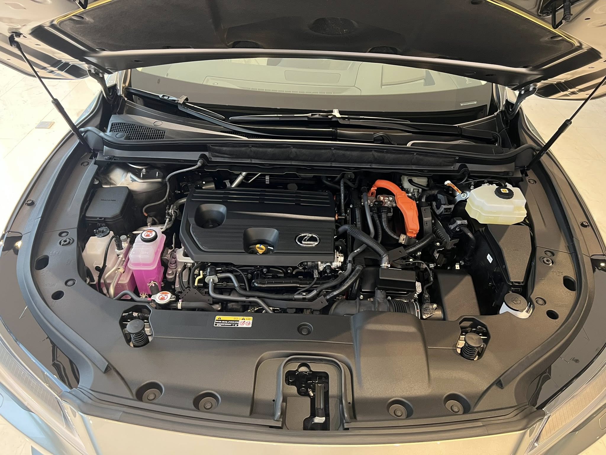 49991898719332021207703264893611708826726485n