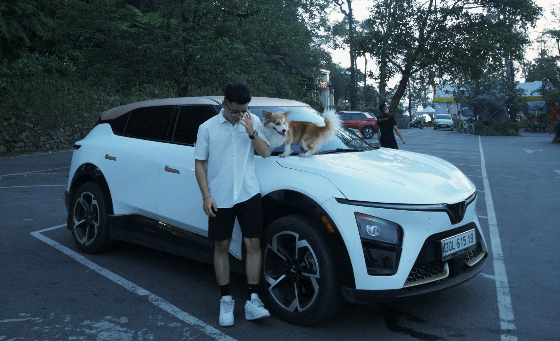 852a403a1977ae29f766