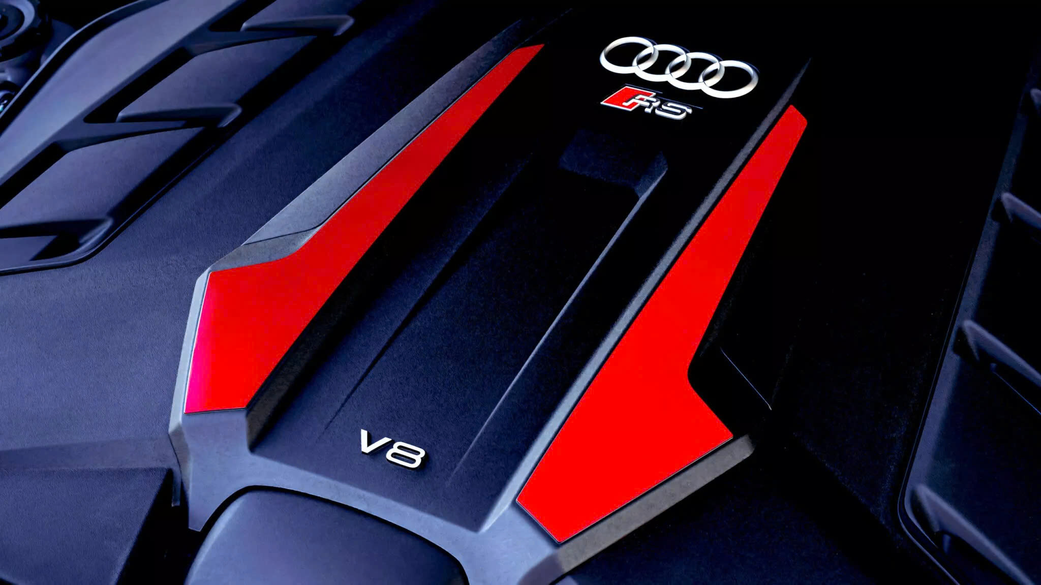 c55f596a331f8441dd0e