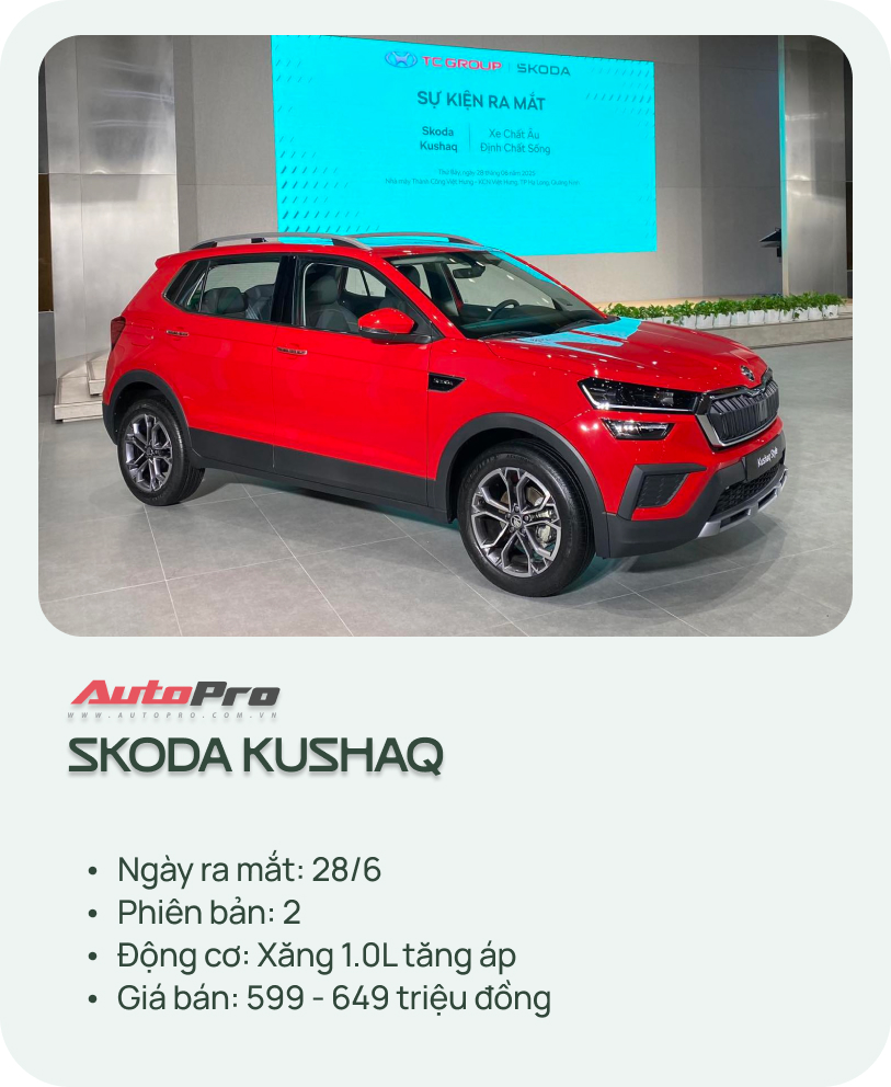 13 skoda kushaq