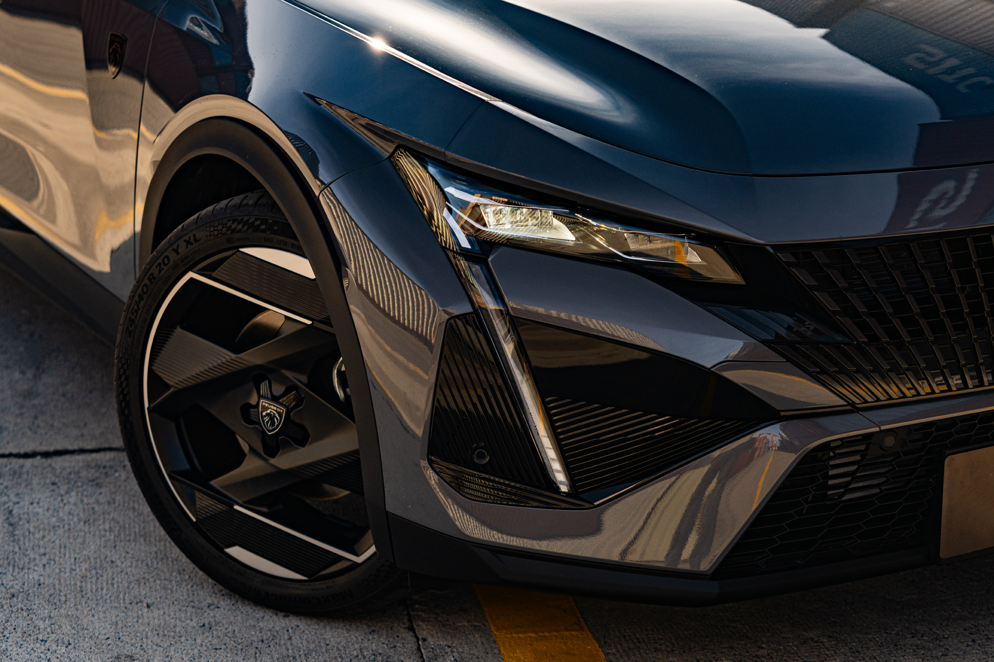 n dinh vi nanh su tu