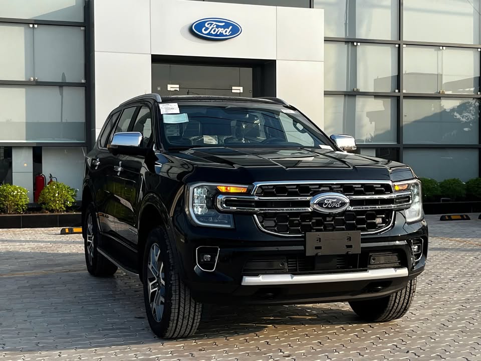 49233529327558424946140875061607317723794237n