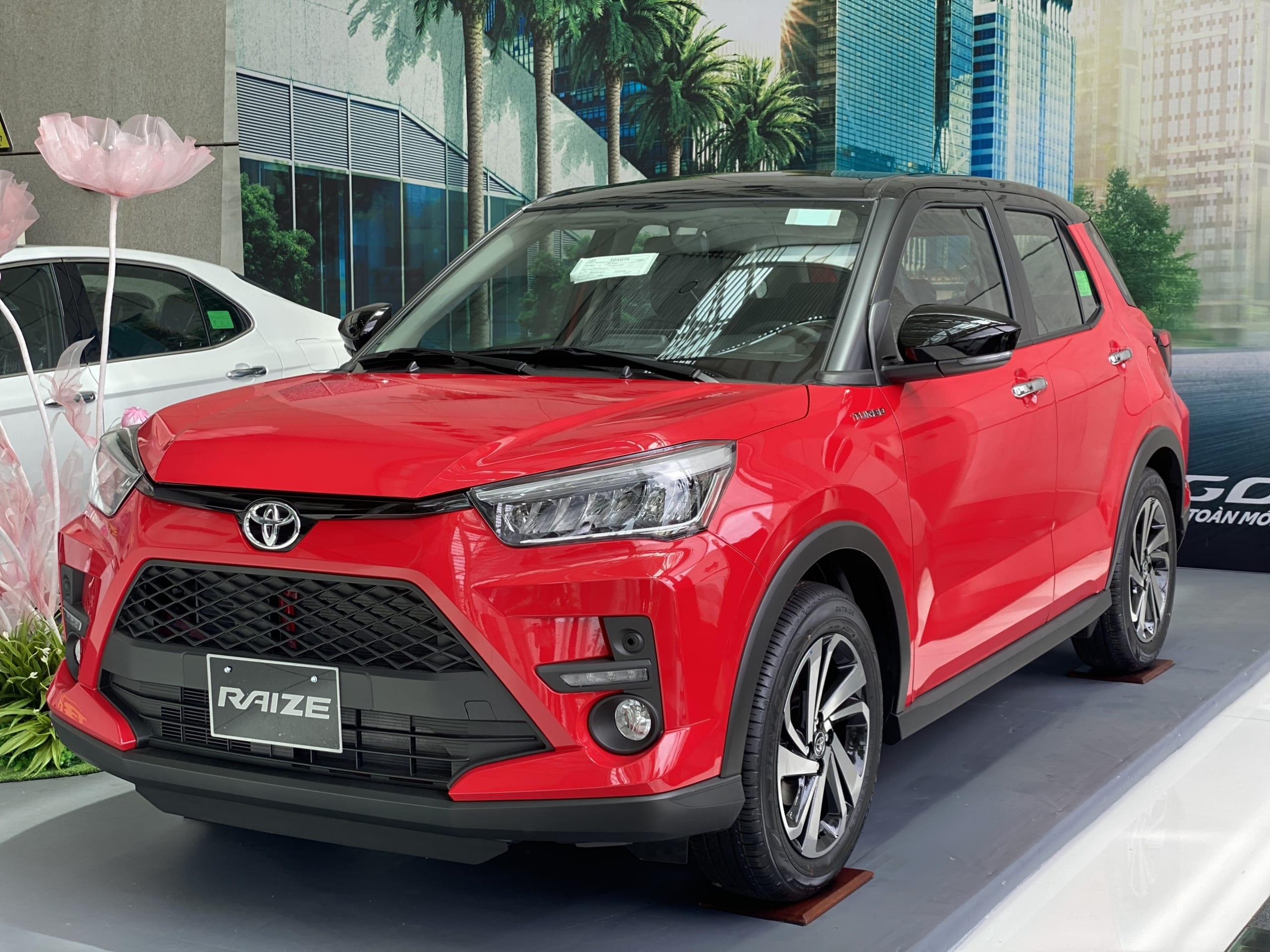 toyota raize