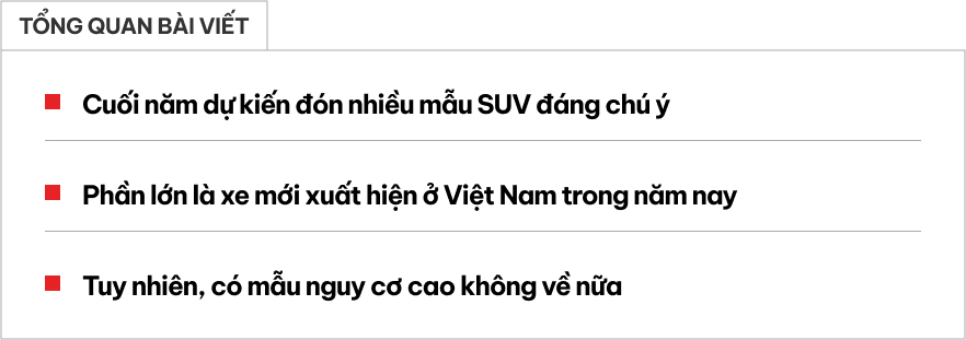 xe ra mat cuoi nam 2025 web