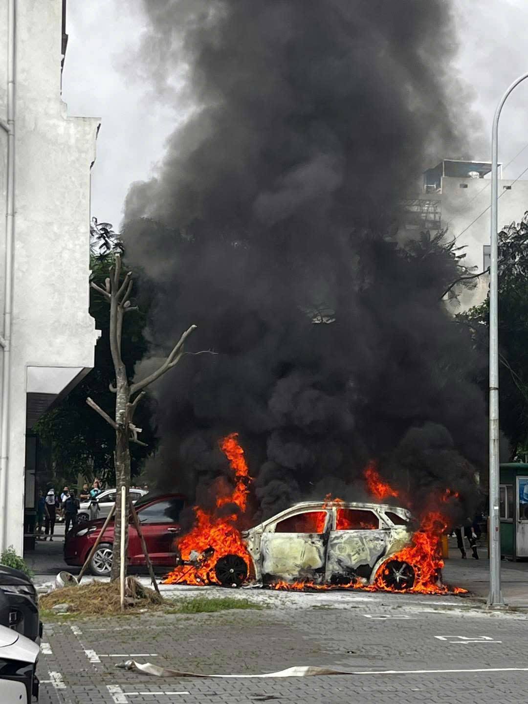 52081799811452489709714205259573260623229948n