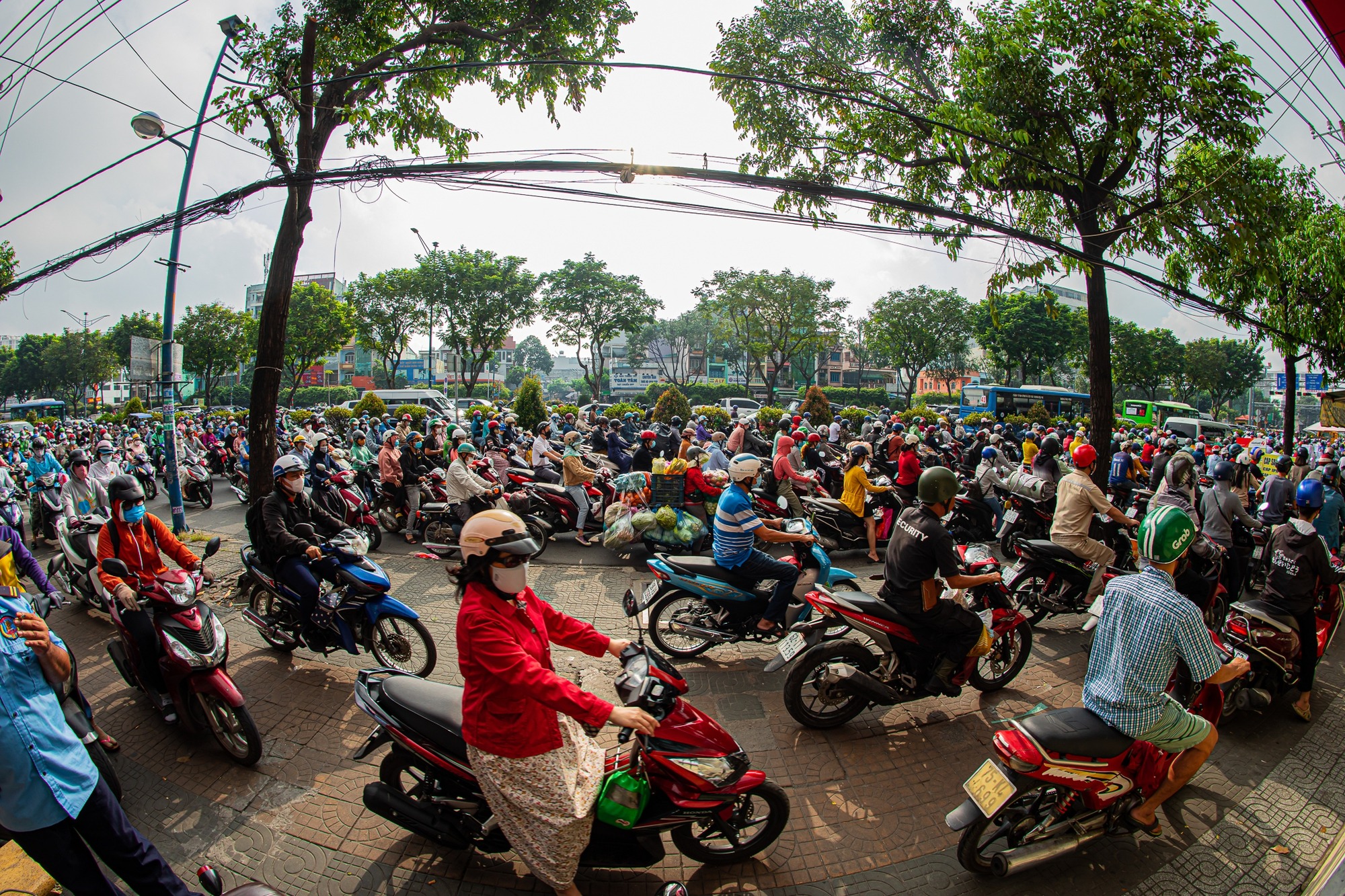 033 16590666053451397194791