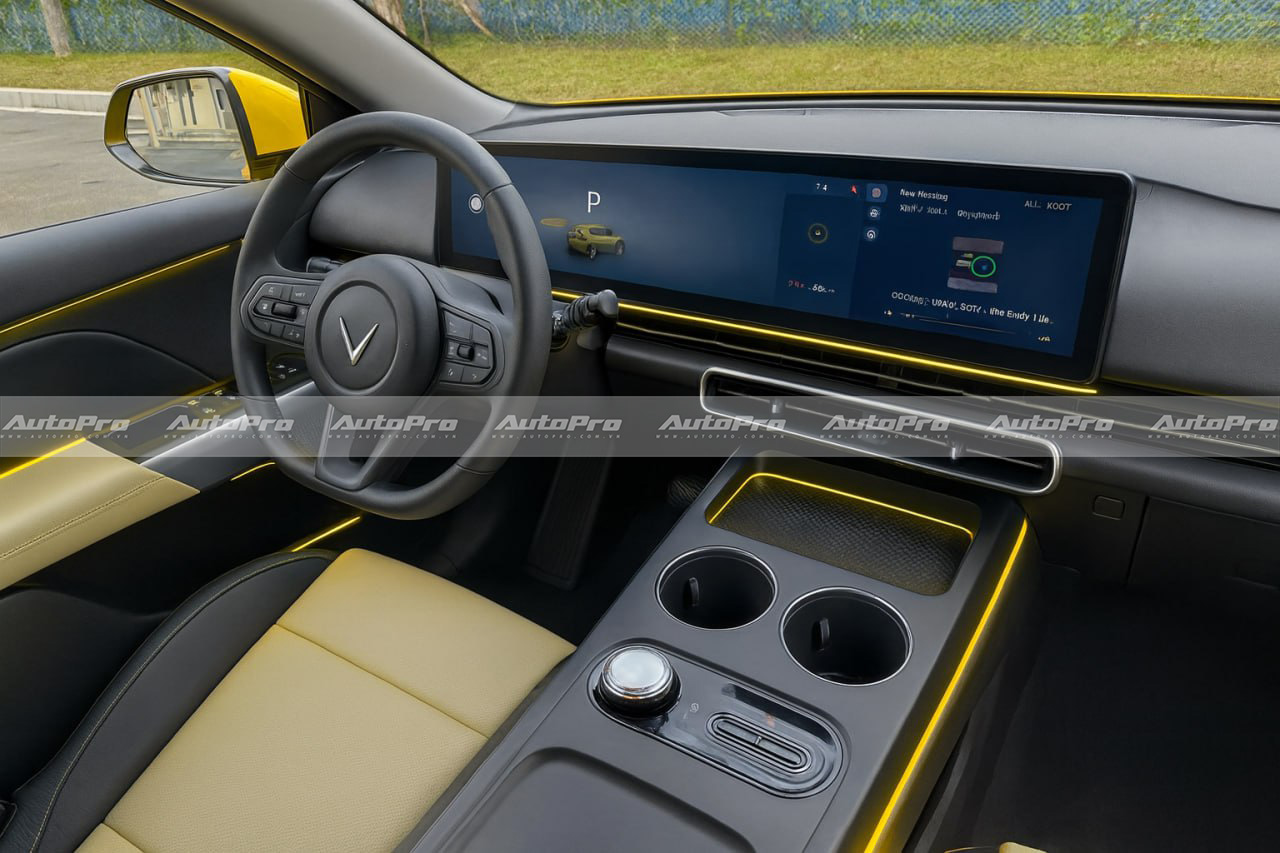 photo2025 08 0611 49 20