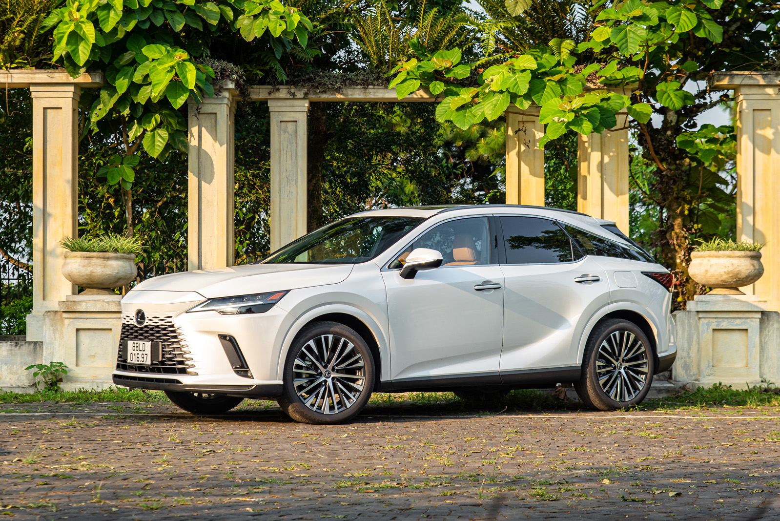 nlh6942 1685005334087511707390 1685348399973 16853484000601993725826