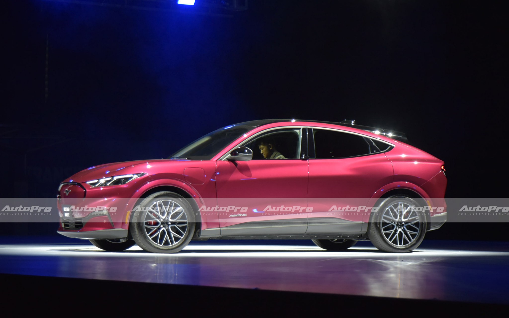 mustang mach e nlh7518